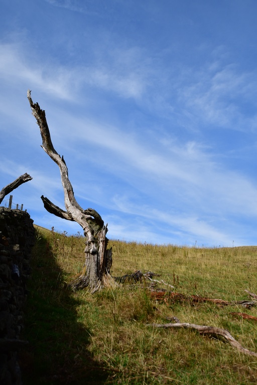 2018-08-04 Nottingham/Peak District/DSC_3672.JPG